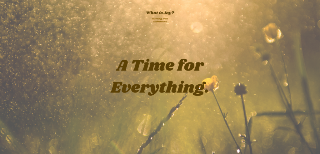 What is Joy? [A Time For Everything]