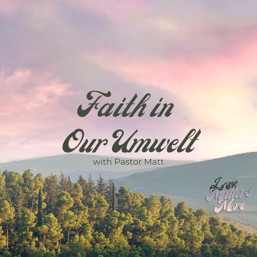 Faith in our Umwelt