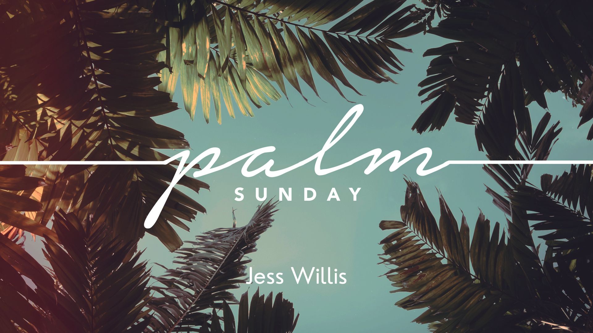 Palm Sunday: The Honoured King – by Jess Willis 13-04-2025