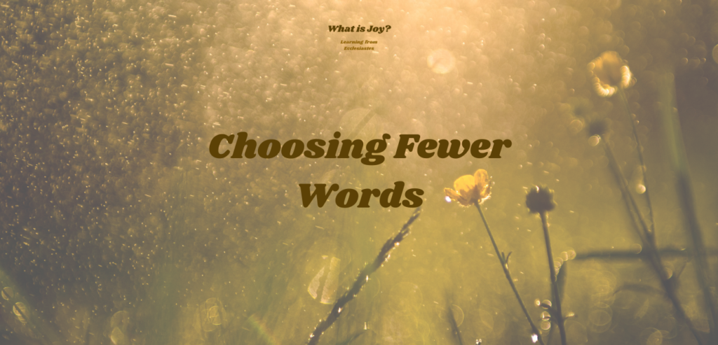 What is Joy? [Choosing Fewer Words]