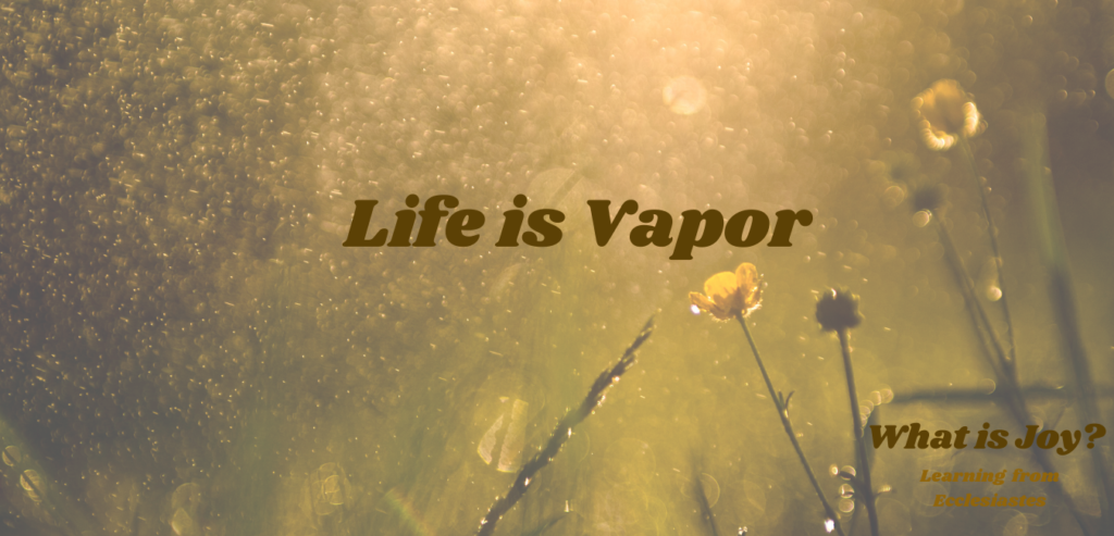 What is JOY? [Life is Vapor]