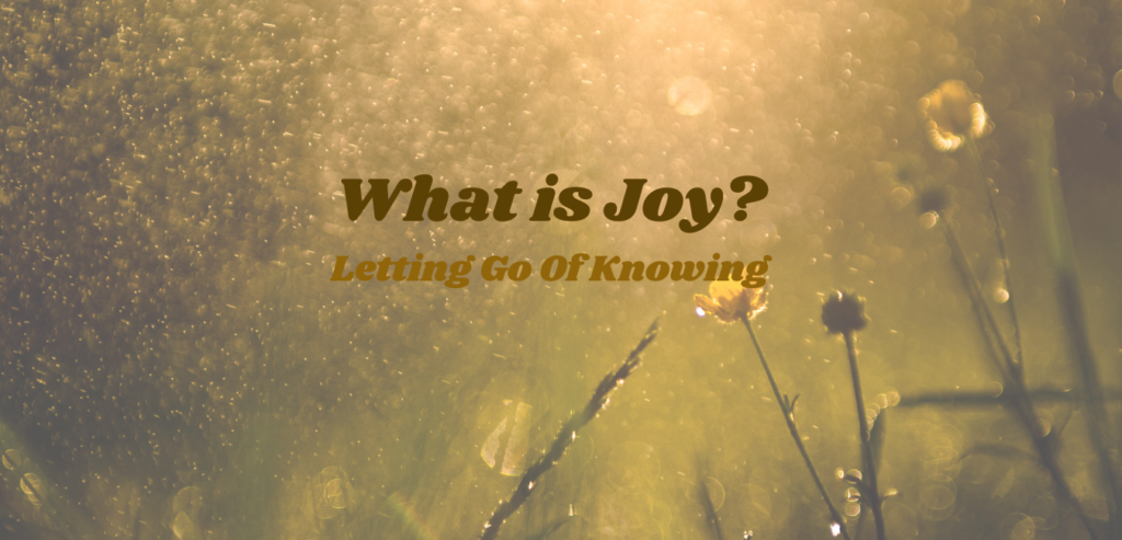 What Joy? [Letting Go of Knowing]