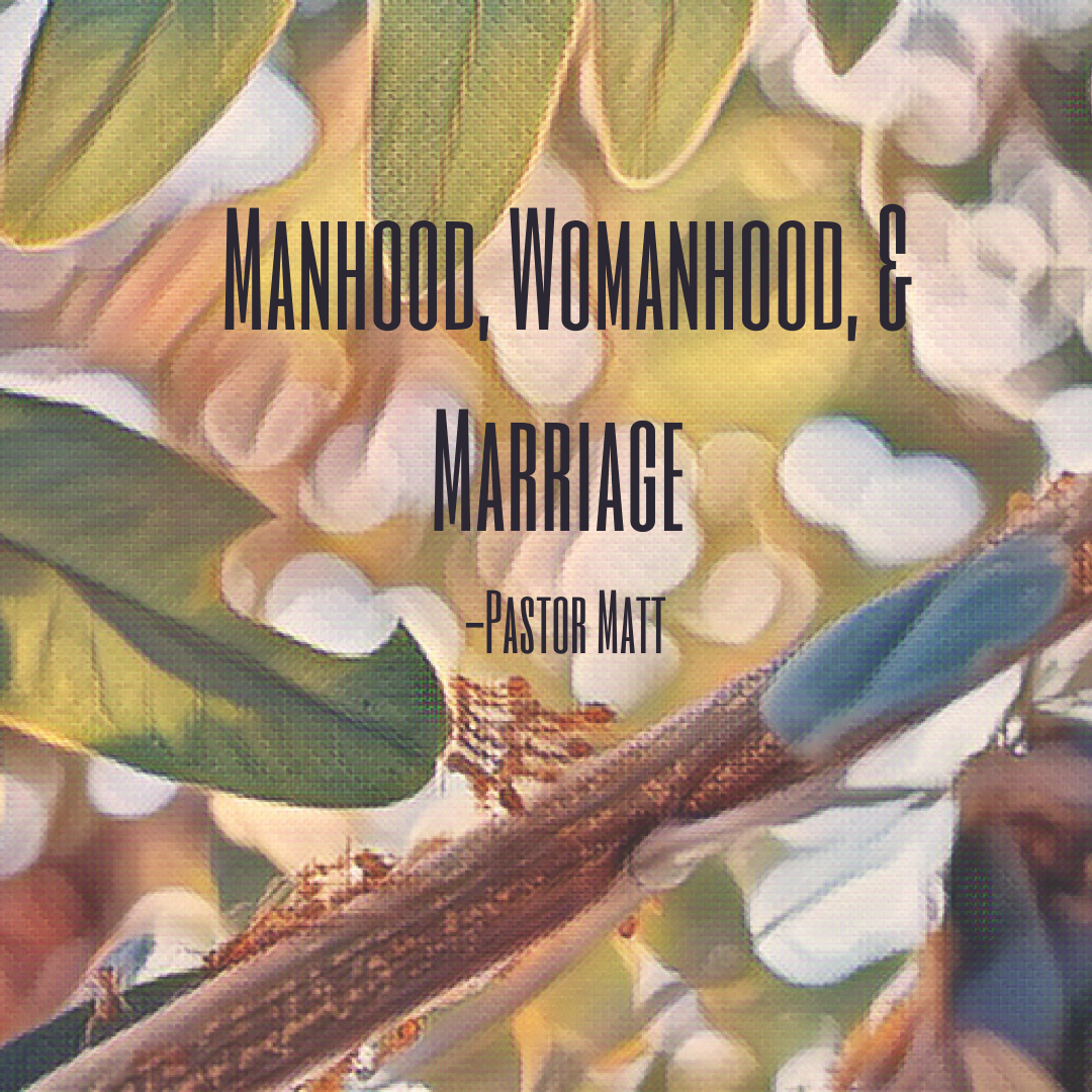 Manhood, Womanhood, & Marriage